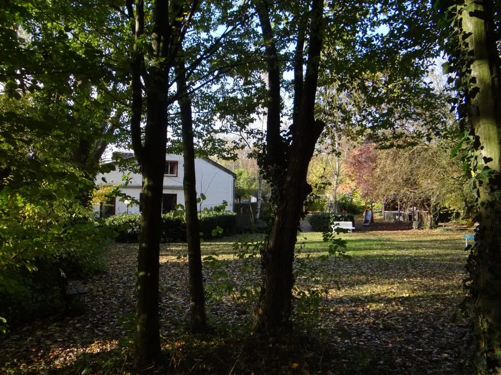 De woningen vanuit het bos gezien