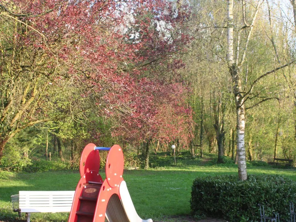 De glijbaan en het speelveld