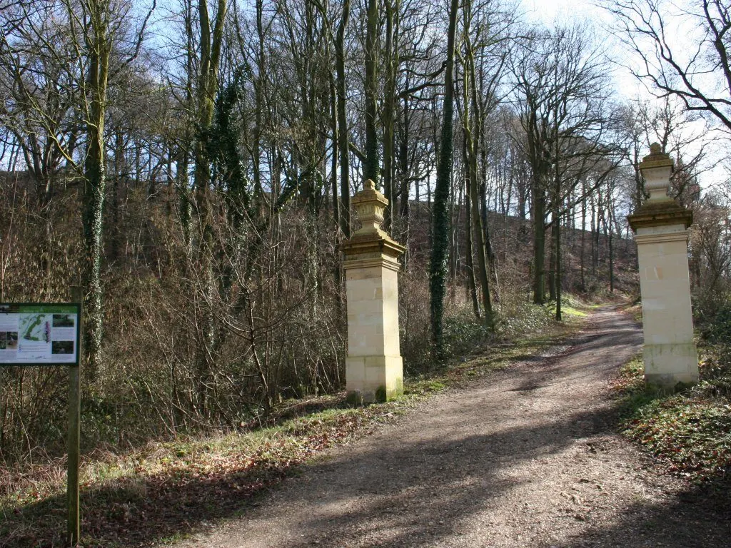 Een onverharde weg door het bos, met oude hekpijlers