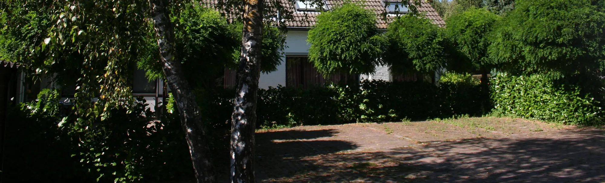 Het verharde erf voor een van de woningen, met berken en hagen