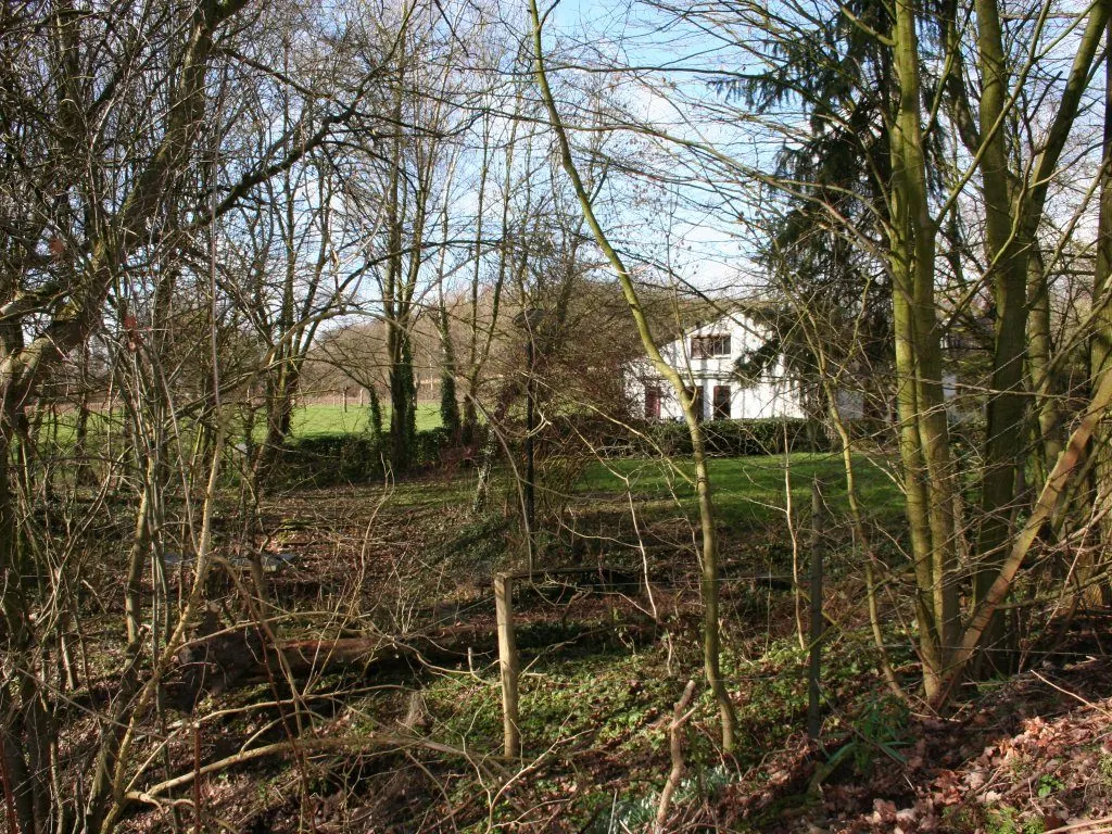 Het eigen bos en het veld achter de woningen