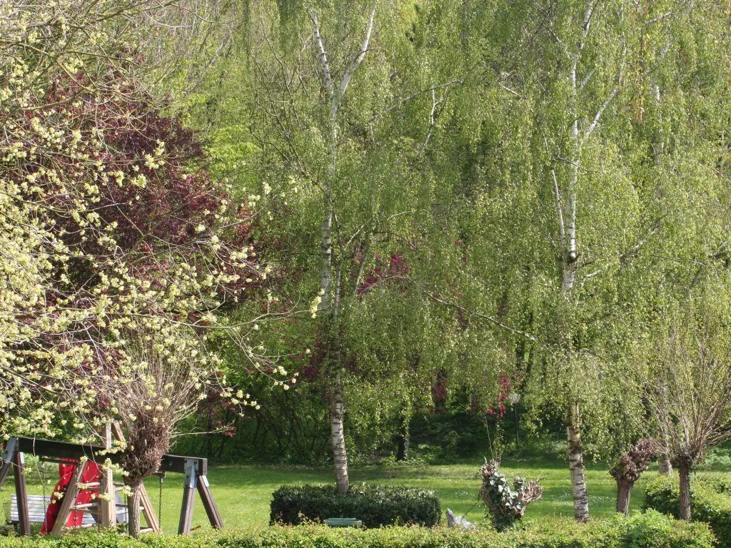 De tuin met speeltoestellen en bloesembomen