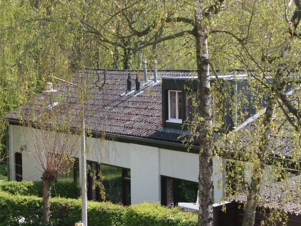 Vliek in het voorjaar