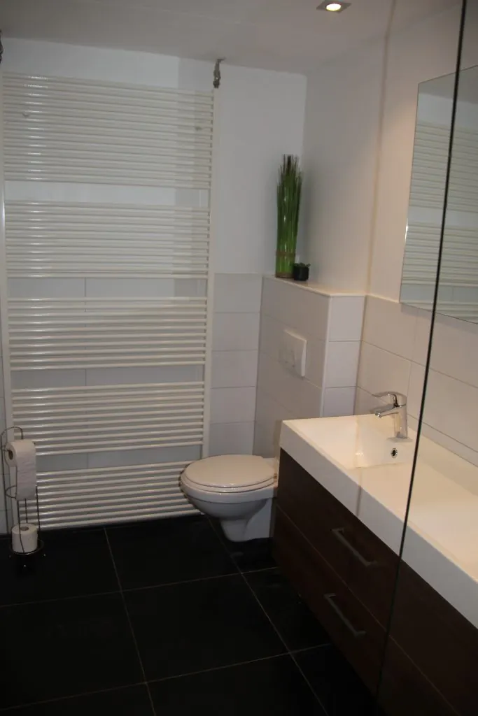 De badkamer van Waterval met toilet en wastafel